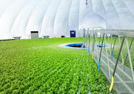 太陽光利用型のエアドーム式植物工場